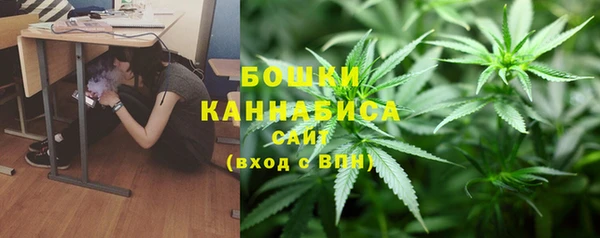 apvp Арсеньев