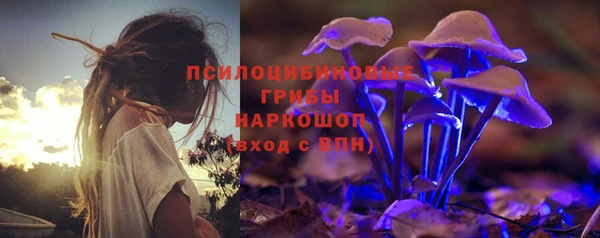 apvp Арсеньев